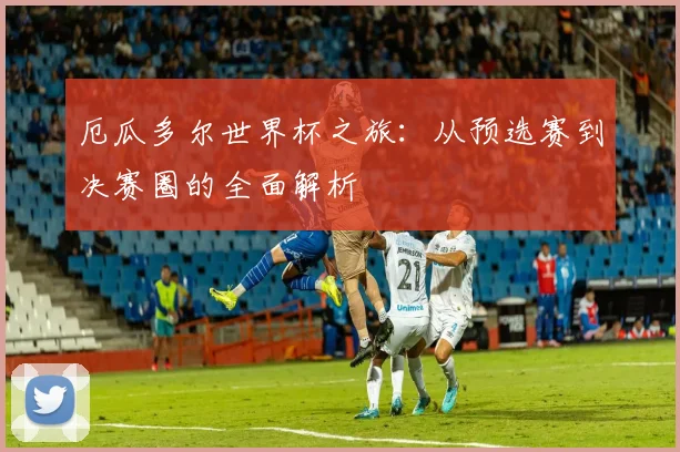 厄瓜多尔世界杯之旅:从预选赛到决赛圈的全面解析